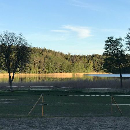 Nice Holiday House At Horse Farm With Lake And Sauna Holo  Buitenkant foto