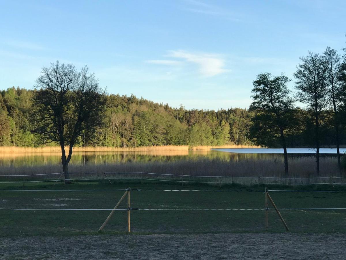 Nice Holiday House At Horse Farm With Lake And Sauna Holo  Buitenkant foto