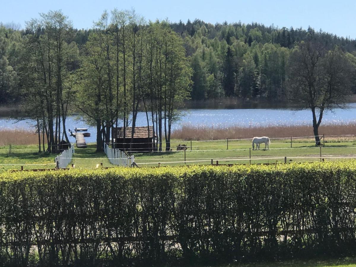 Nice Holiday House At Horse Farm With Lake And Sauna Holo  Buitenkant foto