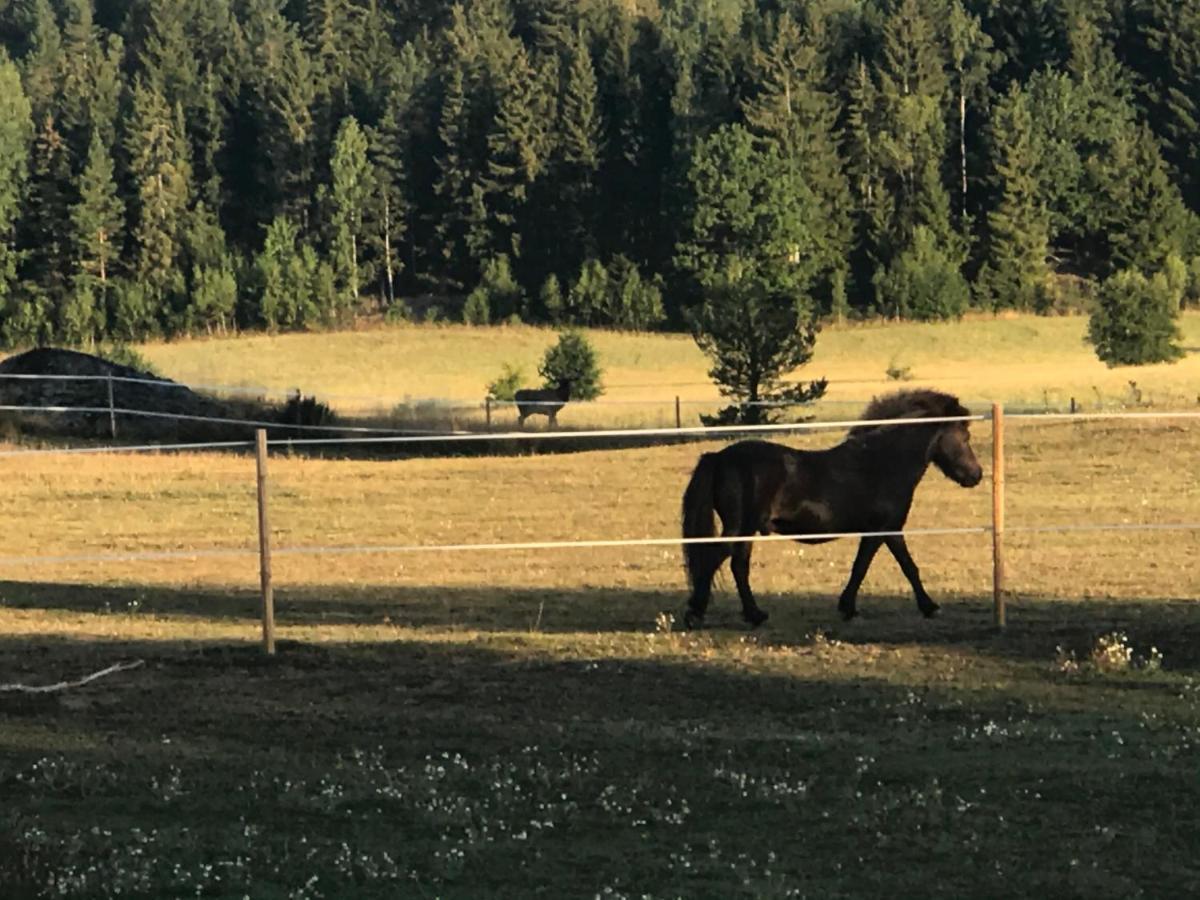 Nice Holiday House At Horse Farm With Lake And Sauna Holo  Buitenkant foto